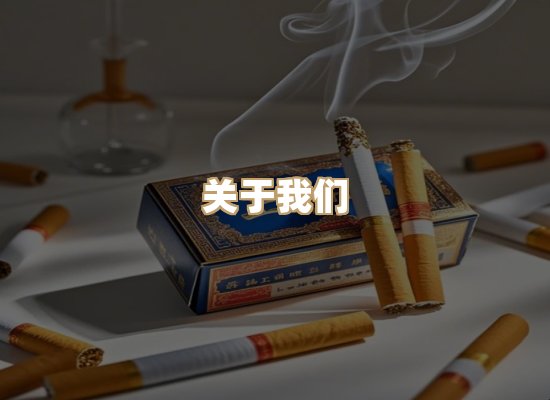 关于御龙烟网